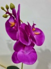Орхидея Милана малиновая