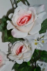 Лиана из роз Элли бело-розовая