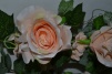 Лиана из роз Элли бежевая