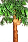 Пальма кокосовая Q с кокосами Latex