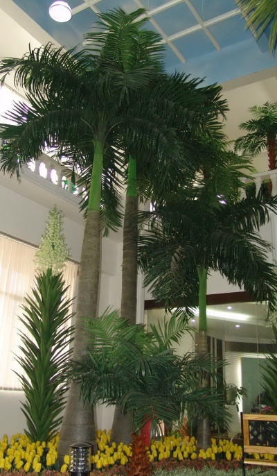 Индонезийская пальма 6м Latex