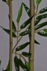 Бамбуковая палка с ветками ткань