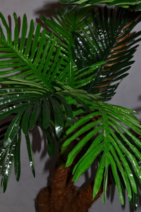 Финиковая пальма Трио кокосовый ствол  Latex