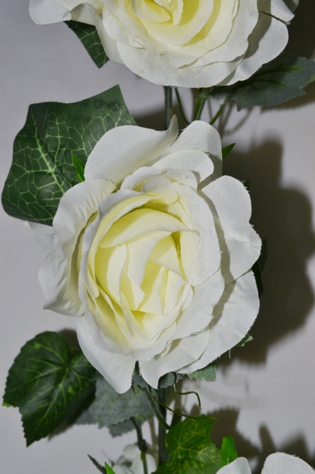Лиана из роз Элли белая