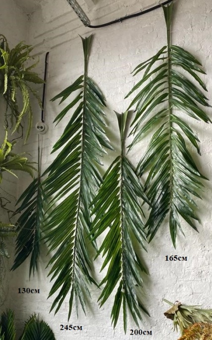 Листья финиковой пальмы Latex