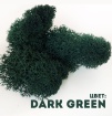Мох Dark Green 400гр.