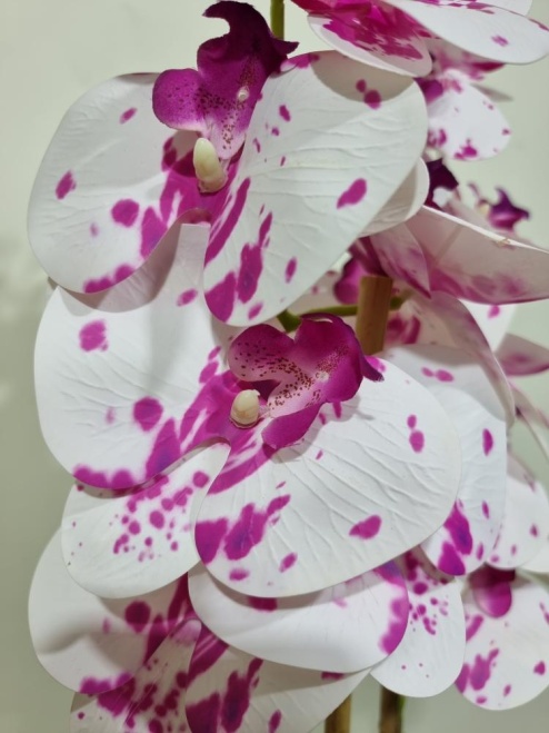 Орхидея Лунна №3 Latex