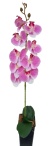 Орхидея Энни розовая Latex