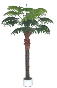 Пальма искусственная веерная 2,5 м Latex