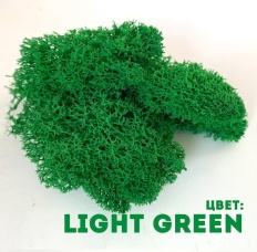 Мох Light Green 400гр.