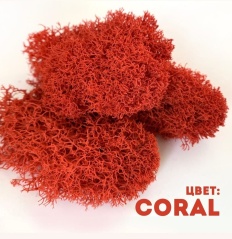 Мох Coral 400гр.