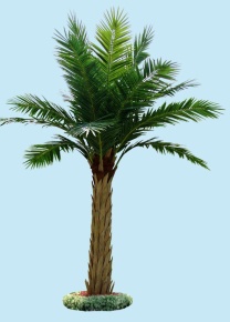 Финиковая пальма 6м, чешуйчатый ствол Latex
