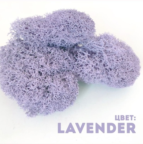 Мох Lavender 400гр.