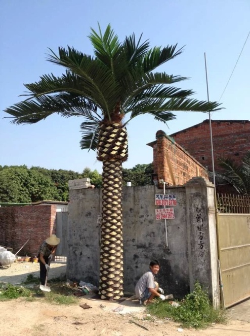 Финиковая пальма 7м, чешуйчатый ствол Latex