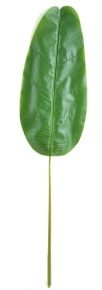 Пальмовый банановый лист