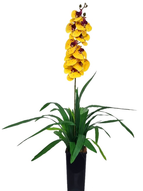 Орхидея Элли желтая Latex