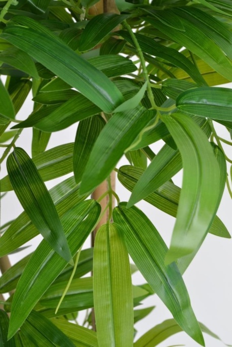 Бамбук каскад широколистный Latex 