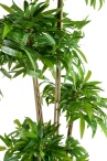 Бамбук каскад широколистный Latex 