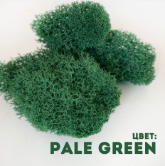 Мох Pale Green 400гр.