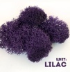 Мох Lilac 400гр.