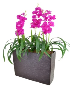 Цветочная композиция "Орхидеи"