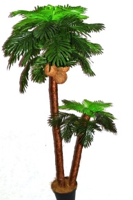 Кокосовая пальма Вивьен Latex 